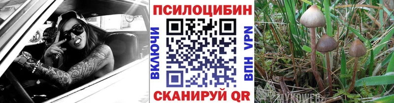 Галлюциногенные грибы мухоморы  Купить  Рассказово 